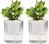 Self Watering Plant Pots 4" 2-PK Indoor Flower Pots with Water Storage and Wick Cotton Rope for Flowers, Herbs