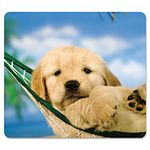 Fellowes 7-1/2 x 9 Inches Recycled Mouse Pad with Nonskid Base, Puppy in Hammock (FEL5913901)