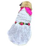 Kitty & The Woof Gang Cute Princess Dog Dress | Pet Apparel | Dress for Small Dog | Puppy Dress Birthday Party| Dress for medium, large dog | Cat Dress | Dog Gown | Dog skirt | Festive/Wedding L/16