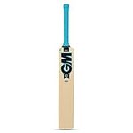 GM Neon Apex Kashmir Willow Cricket