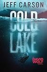 Cold Lake (David Wolf Mystery Thriller Series)