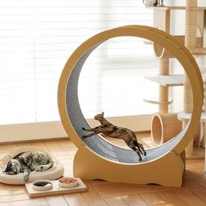 hausway 45" Cat Wheel,Cat Wheels for Indoor Cats,Noise-Free Pet Fitness Toy,Safety Treadmill with Lock Minimized Gap Design,to Reduce Boredom & Anxiety - Easy Assembly (45 inch)