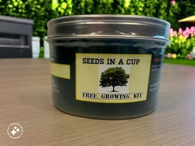 Apple Tree | Seed Starter Grow Kit | Seeds In A Cup®