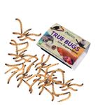 PISCES True Bugs Live Superworms 100 Pcs | Hight Protein Treat Food with Natural Supplement for All Life Stages Aquarium Fishes Like Arowana, Reptile, Monkey and Other Pets