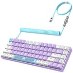 YINDIAO T8 60% Mechanical Gaming Keyboard,68 Keys TKL Compact US Layout Wired Keyboard,18 Chroma RGB Backlit,Blue Switch,Full Anti-ghosting,Pro Custom Coiled USB-C Cable,for PC,Mac,PS4,XBOX-Lavender