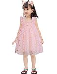 AGQT Toddler Girls Tutu Dress Sleeveless Kids Sequin Tulle Tutu Dress Birthday Party Babydoll Dresses Pink Star Size 3-4T