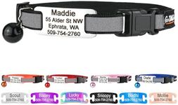 GoTags Personalized Reflective Cat 