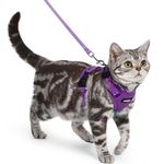 rabbitgoo Cat Harness and Lead Set, Escape Proof Kitten Harness with 3 Adjustable Buckles, Soft Comfortable Cat Vest with Leash, Easy to Wear, Reflective for Safe Outdoor Walking, Small, Purple