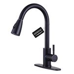 Weber Kitchen Faucets