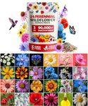 Wildflower Seeds | Bulk Mix of 24 Different Varieties of Non-GMO Wildflower Seeds 3oz | Bee and Butterfly Garden Seeds | Colorful Perennial Flower Seeds | American Wildflower Seeds for Your Garden