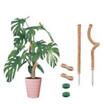 Bendable Moss Pole for Plants Monstera, Bendable Plant Stakes Moss Poles for Potted Indoor Climbing Plants, Handmade Coco Coir Pole Plant Support for Creeper Plants Grow Upwards, 2 Pack, 25 Inch