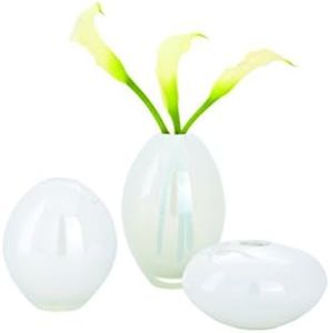 Torre & Tagus Mini Lustre Handblown Glass Bud Vase Set of 3 for Flowers - White Tabletop Decoration for Colorful Flowers - Mid Century Modern Decor for Farmhouse Country Living Room Shelf Coffee Table