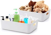 BigTron Quality Plastic Storage Box