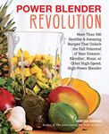 Power Blender Revolution: More Than