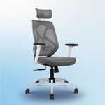 Vergo Transform Prime Ergonomic High Back Mesh Office Chair | Lumbar Support, Adjustable 2D Armrests, Multi Lock Synchro Mechanism, Metal Base | Home Office Desk Chair, 3 Years Warranty (White Grey)