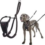 Halti Dog Harness, No Pull Harness 