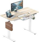SHW 48-Inch Electric Height Adjusta