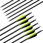 Deweey 12pcs Hunting Arrows 30 inch archery carbon arrows with 3" Feathers Targeting Arrows with Replacement Screw-In Broadheads Archery Arrows for Recurve Bow Longbow and Traditional Bow