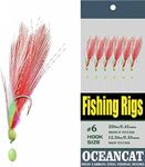 OCEAN CAT 10 Packs Sabiki 2pcs White & Red Feather & Rainbow Skin 6 Hooks Saltwater String Hook Fishing Luer Bait Rig Tackle, 2 Feather&Rainbow Skin, 5#