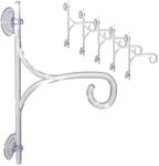 Audubon Clear Glass 11.5 in. H Window Plant Hanger 1 pk