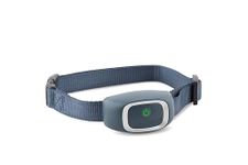 PetSafe Bark Control Collar, Waterproof Basic Bark Control Collar for Small Medium or Large Dogs 3.6 kg and Up, Anti-Bark Static Stimulation Training Device for Canines
