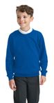 Integriti Schoolwear Boys Girls Unisex Jumper Sweatshirt Crew Neck Round Neck School Uniform Ages 1-15 Royal Blue