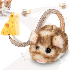 Migipaws I
