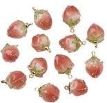 BEEFLYING 10pcs Transparent Acrylic Pink Flower Rose Bud Charms Pendants for Jewelry Making Earrings Necklaces Bracelets, Small, Resin, No Gemstone