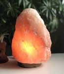 Himalayan Salt Lamp Safe