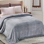 Whale Flotilla Flannel Fleece Queen Size Blanket for Bed, Soft Fluffy Velvet Bedspread Coverlet with Decorative Chevron Pattern for All Season, Warm and Lightweight, 90x90 Inch, Silver Grey