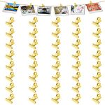 Molain 40Pcs Gold Binder Clips, 0.87 Inch(22mm) Metal Hinge Clips for Food Packages, Mini Picture Clips, Small Paper Clamps, Binder Clips, Photo File Paper Document Clip for Home and Office Supplies