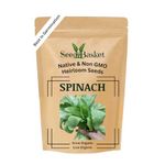 Seedbasket Native/Heirloom Palak or Spinach Vegetable Seeds (20 Grams)