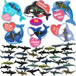 Valentines Day Gift Cards with Sea AnimalsToys 36 Pack