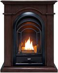 ProCom Dual Fuel Ventless Gas Firep