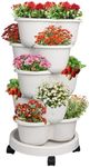 SpringUp 5 Tier Vertical Garden Str