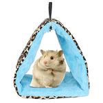 Hammock Tent For 2