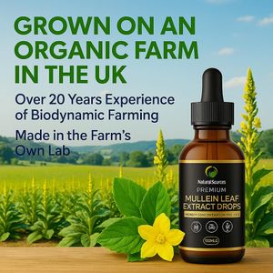 Mullein Leaf Extract 100ml – 1000mg Herbal Supplement