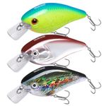 TRUSCEND Craz Crankbait Diving Fishing Lures Saltwater Freshwater, 5 Unique Style: Flexible Stainless Bill, Chattering, Sinking, Suspending, Diving Jointed Crankbait, Amazing Bass Pike Salmon Lure