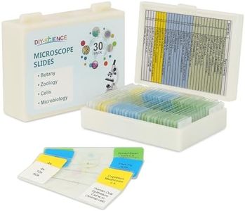 Microscope Slides for Kids