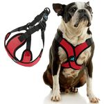 Gooby Comfort X Step in Lite Harness - Red, Medium - Choke Free and Escape Free Dog Harness with Light Breathable Mesh for Small Dog and Medium Dog