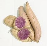 Fresh Purple Sweet Potatoes-2LBS