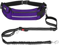 Pecute Hands Free Dog Leash with Po