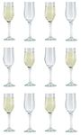 Glasshop Tulip Champagne Flutes - Pack of 12 Long Stem Prosecco Glasses, 195ml - Ideal for Champagne and Cocktails - Dishwasher Safe