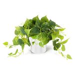 Artificial Plant with Pot, Artificial Plants for Decor, Artificial Potted Plants, Fake Plants Indoor Pothos Boho Greenery Decor, Faux Ivy Vine Plant for Bedroom Aesthetic Living Room Office -White Pot