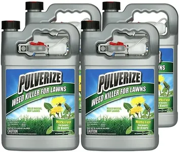 Pulverize®
