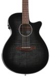 Ibanez Acoustic Guitar AEG series with Cutaway Electronics AEG70-TCH