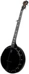 Blackgrass Banjo with Maple Top by 