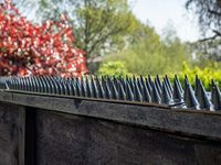 Fence Wall Spikes Prikkastrip® Garden Security Intruder Bird Cat Repellent Burglar Anti Climb - Colour (BLACK) (Pack of 20-10M to 30M)