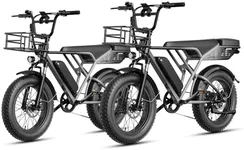 Jasion RetroVolt Electric Bike for 