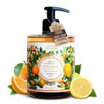 Panier des Sens - Liquid Hand Soap – Provence Soothing Hand Wash – Active Ingredient Coconut Oil - Savon de Marseille Made in France - Organic Hand Wash 97% Natural Ingredients - Vegan Soap 500ml